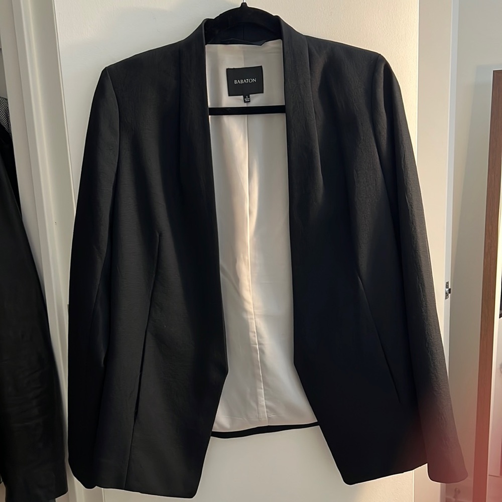 Babaton aritzia suit jacket